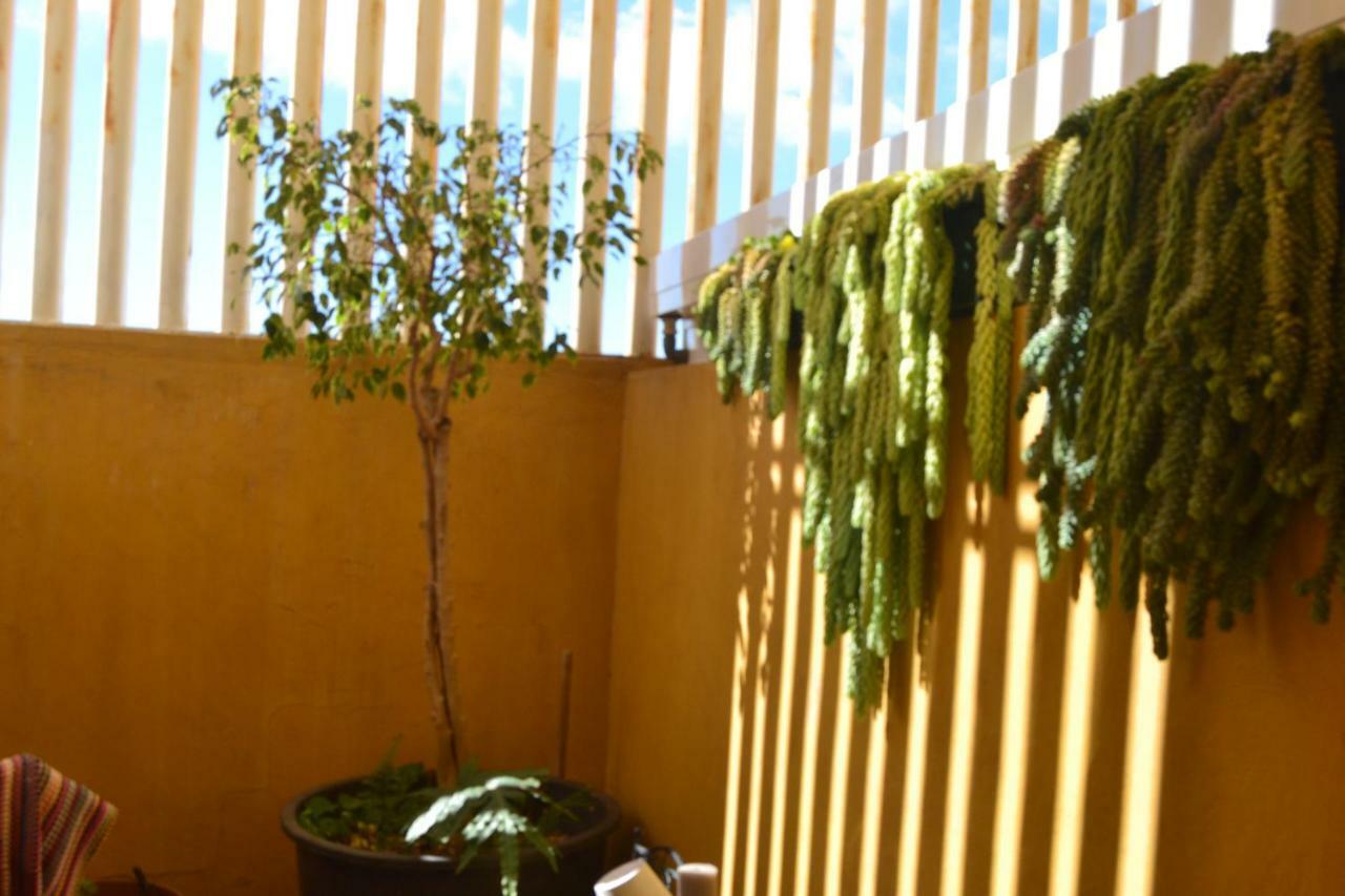 Séjour chez l'habitant Fano's House - En Vivienda Particular *
